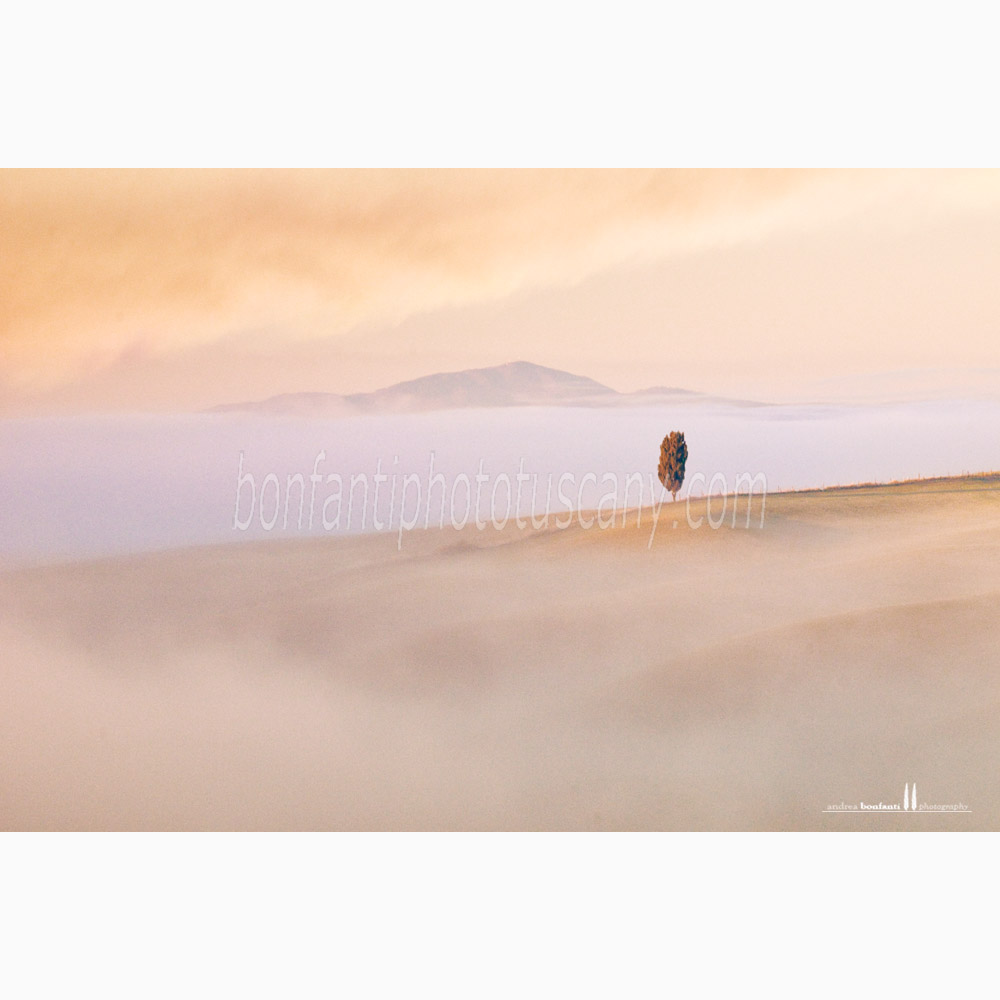 paesaggio delle crete senesi Inverno #1 torre a castello