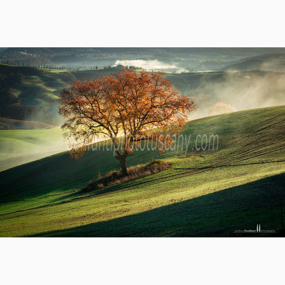 paesaggio delle crete senesi autunno #2 monte sante marie