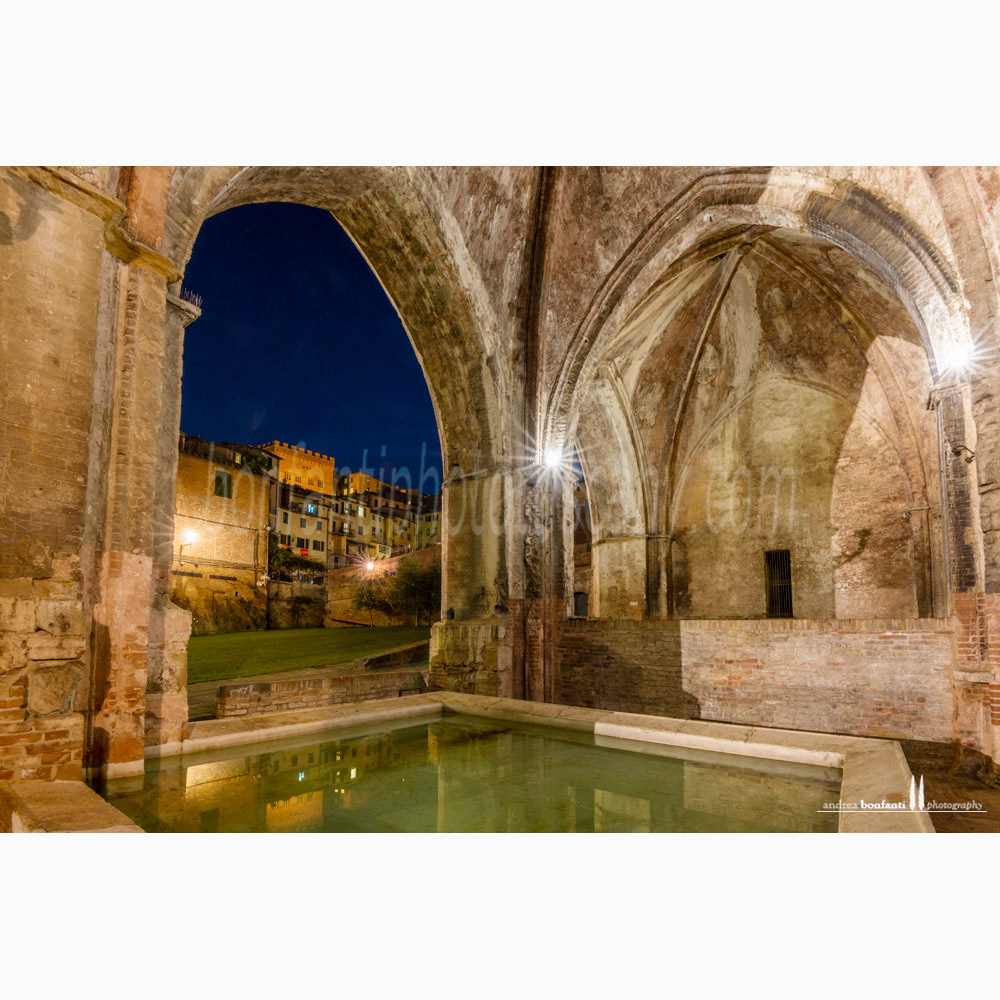 Siena - fonte di ovile #1