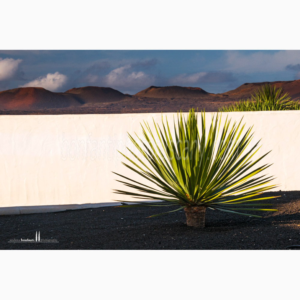 lanzarote #18 yaiza lanzarote #18 yaiza