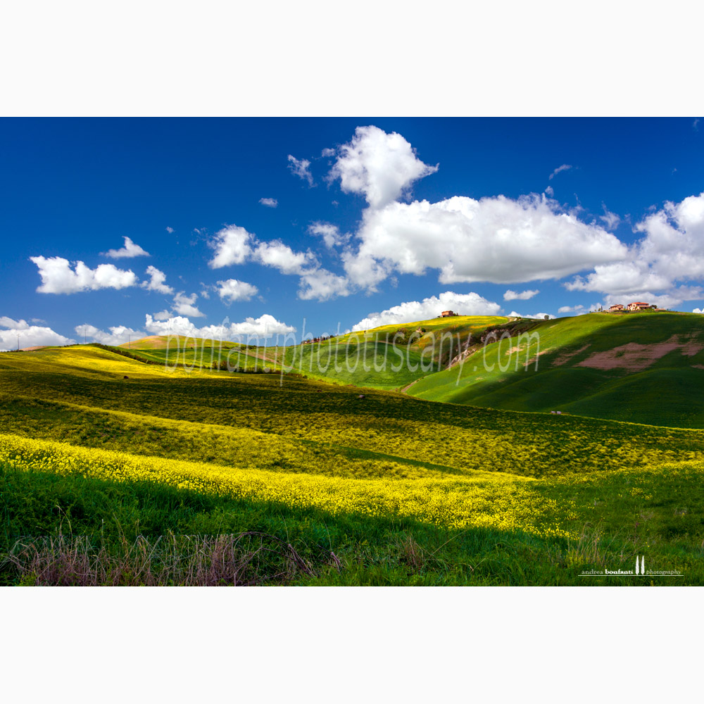 paesaggio delle crete senesi primavera #9 calceno