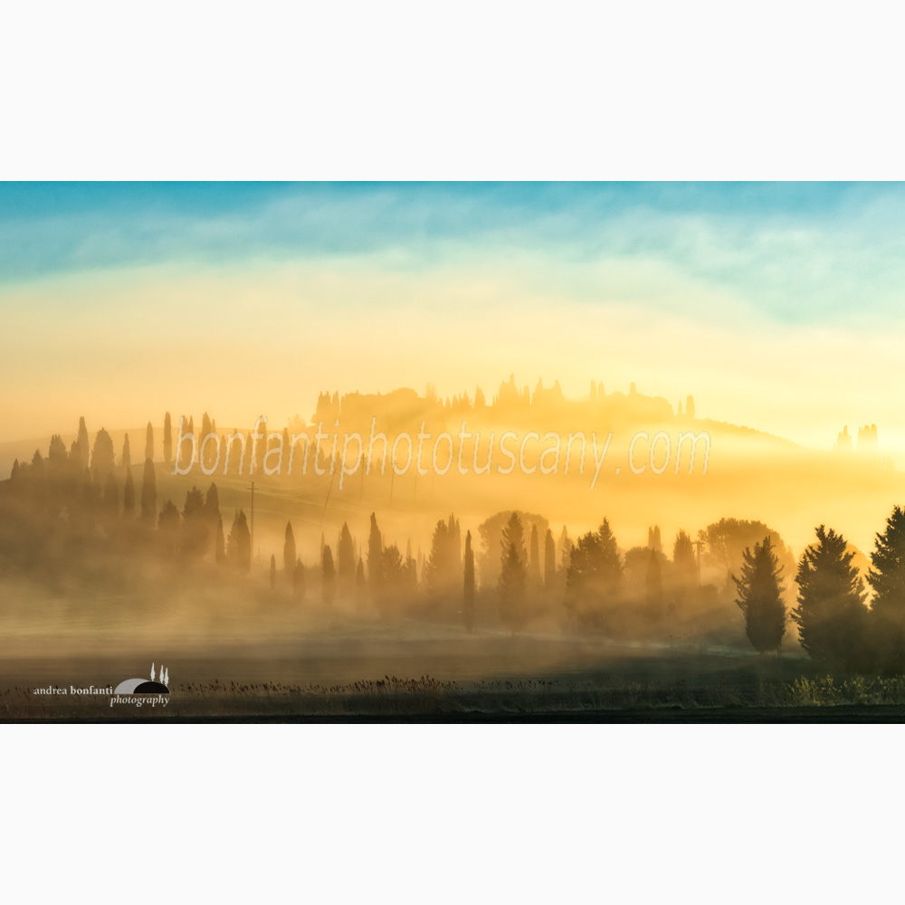 l'oro dell'alba autunnale ai cipressi di Leonina.jpg