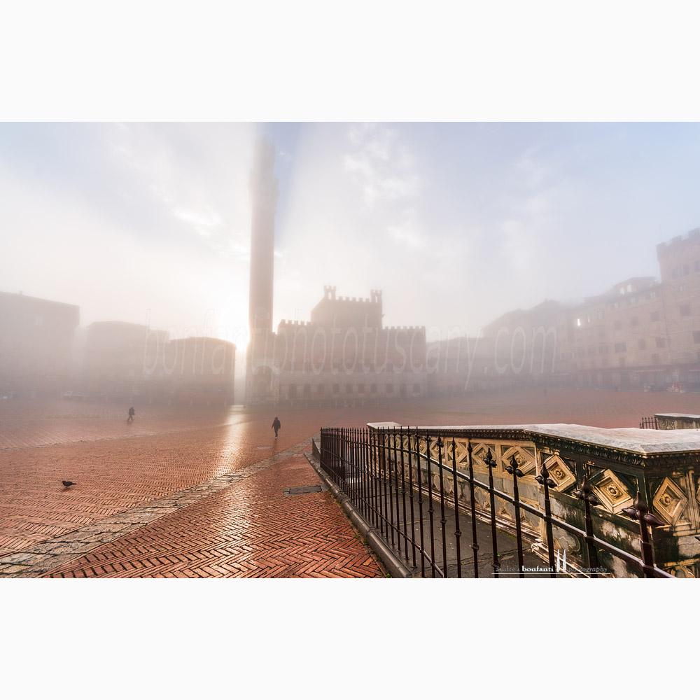 Siena - fonte gaia #6 piazza del campo