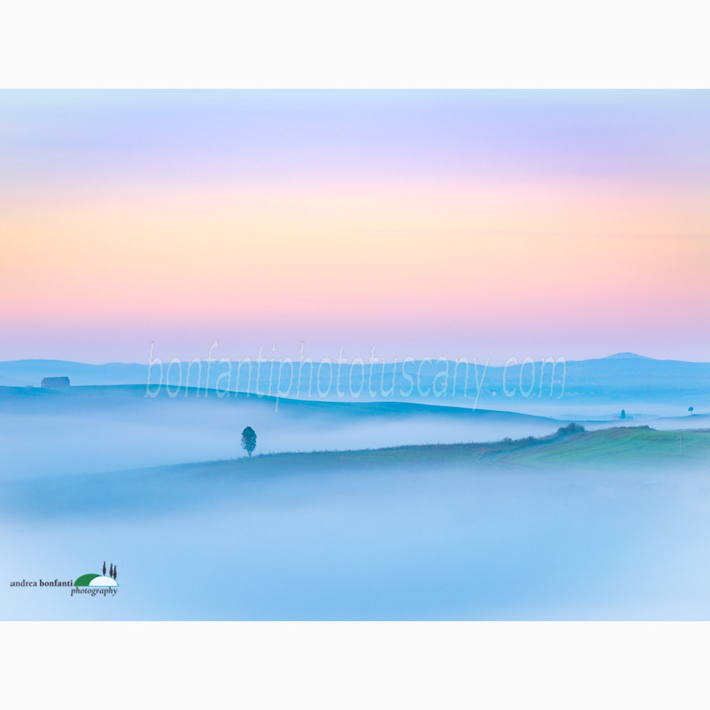 albeggia di già sui colli senesi.jpg