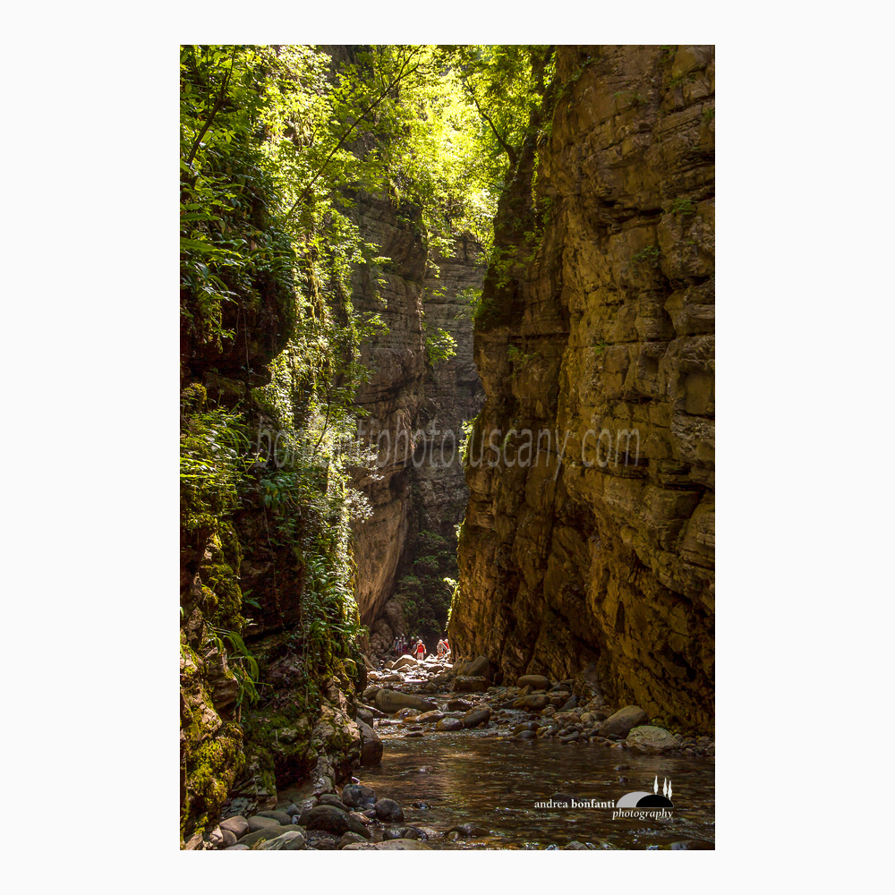 orrido di Botri #7 controluce fra alte pareti rocciose.jpg