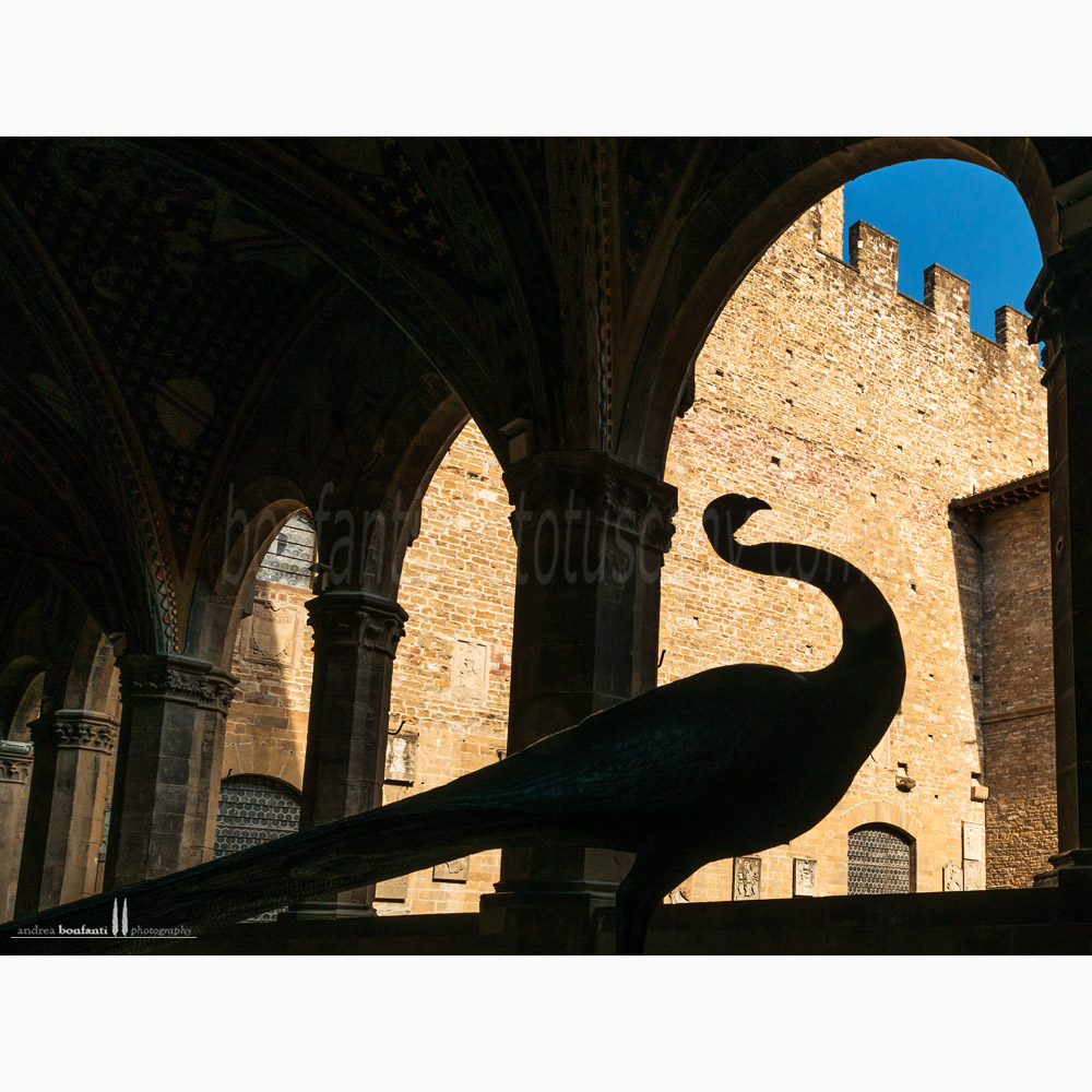 cortile del Bargello a Firenze cortile del Bargello a Firenze