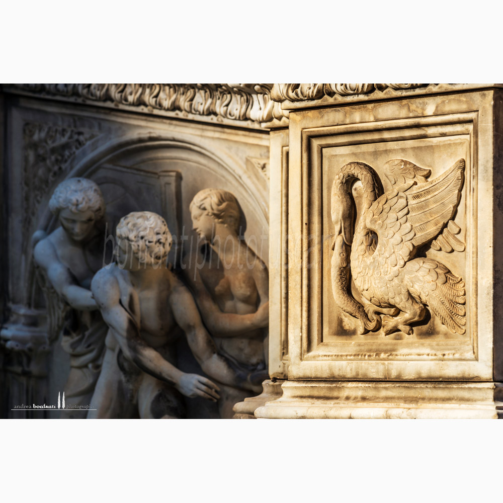Siena - fonte gaia #4 chiaroscuro