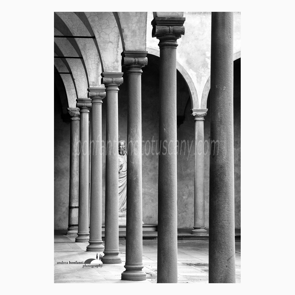 una statua spunta fuori da una foresta di colonne.jpg