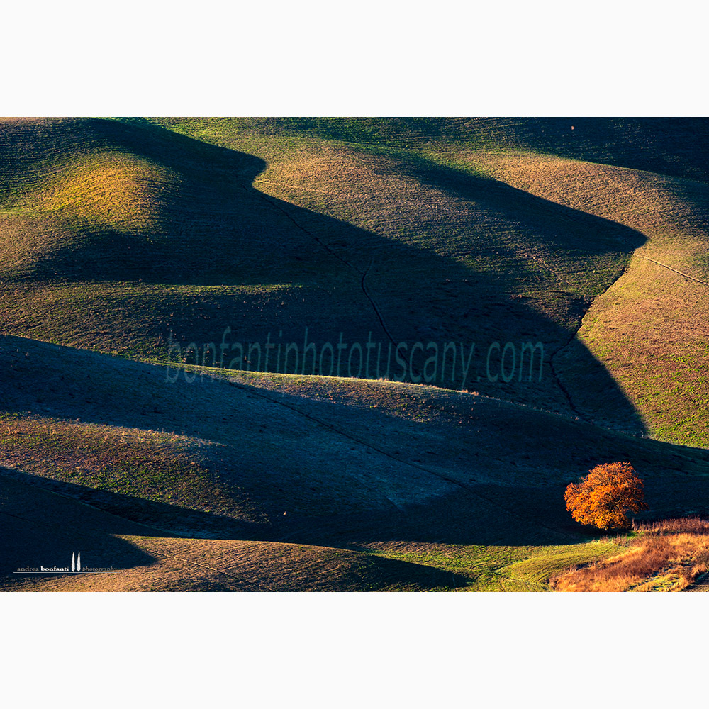 paesaggio delle crete senesi autunno #3 calceno