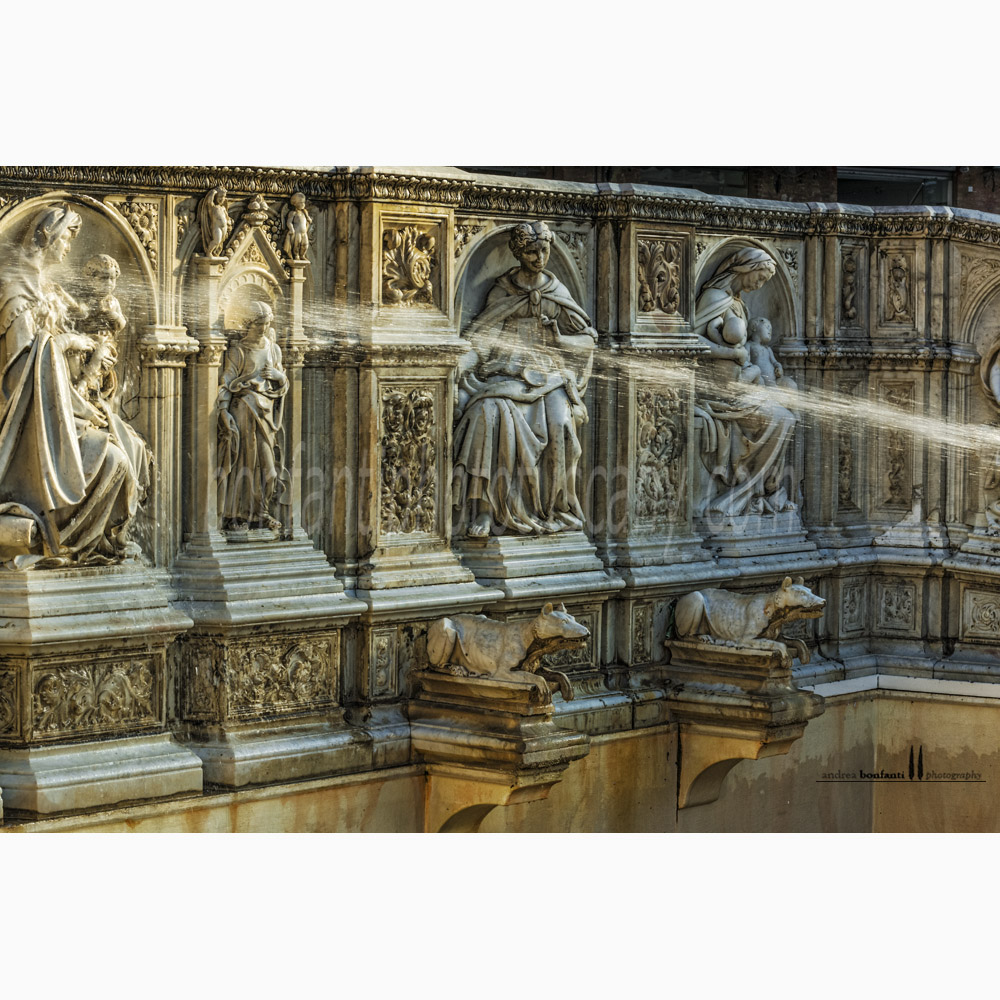 Siena - fonte gaia #2 lavaggio mattutino