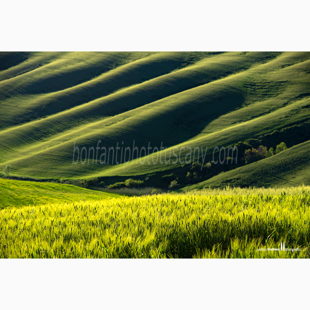crete senesi landscape - chiusure.jpg crete senesi landscape - chiusure.jpg