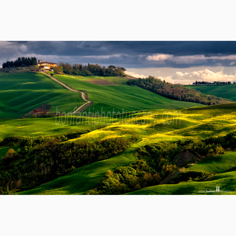 paesaggio delle crete senesi primavera #1 vescona