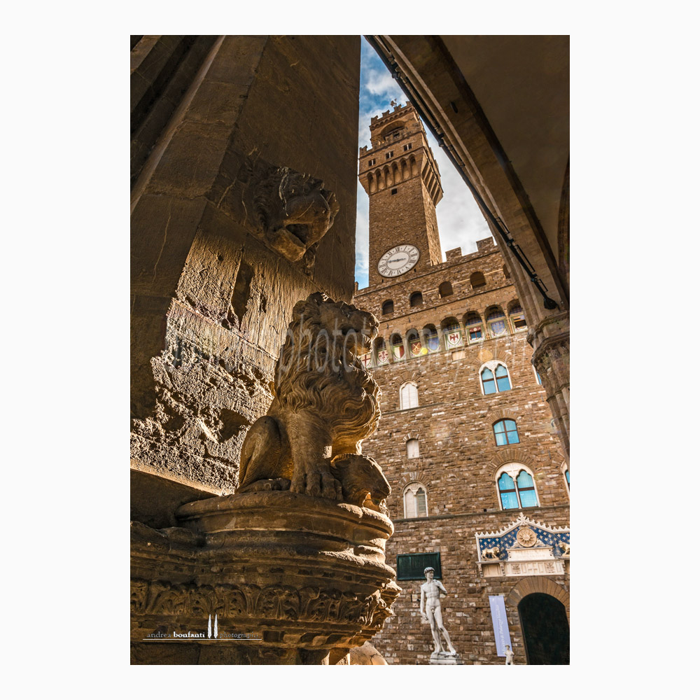 leoncino sotto la loggia e Palazzo Vecchio leoncino sotto la loggia e Palazzo Vecchio