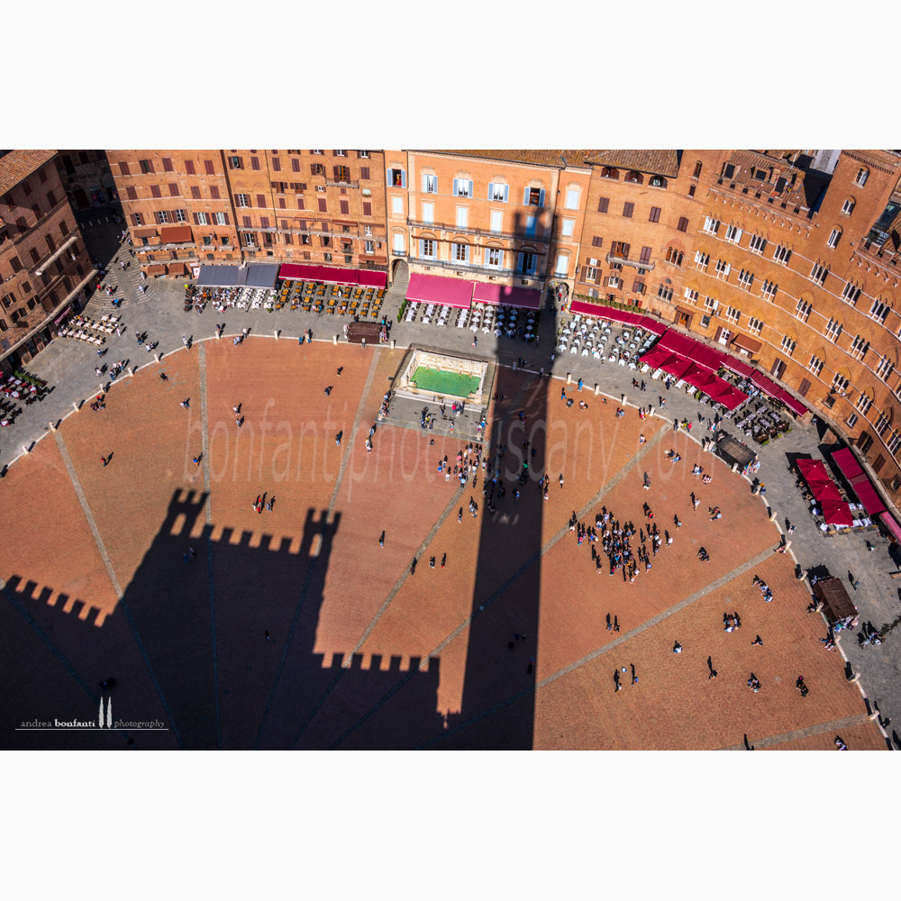 Siena - fonte gaia #7 dalla torre del mangia