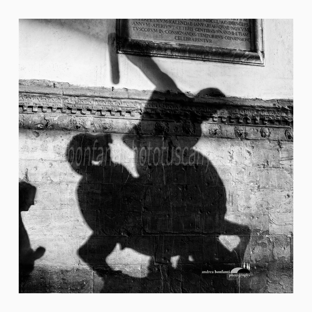 l'ombra del centauro Nesso in piazza Signoria.jpg