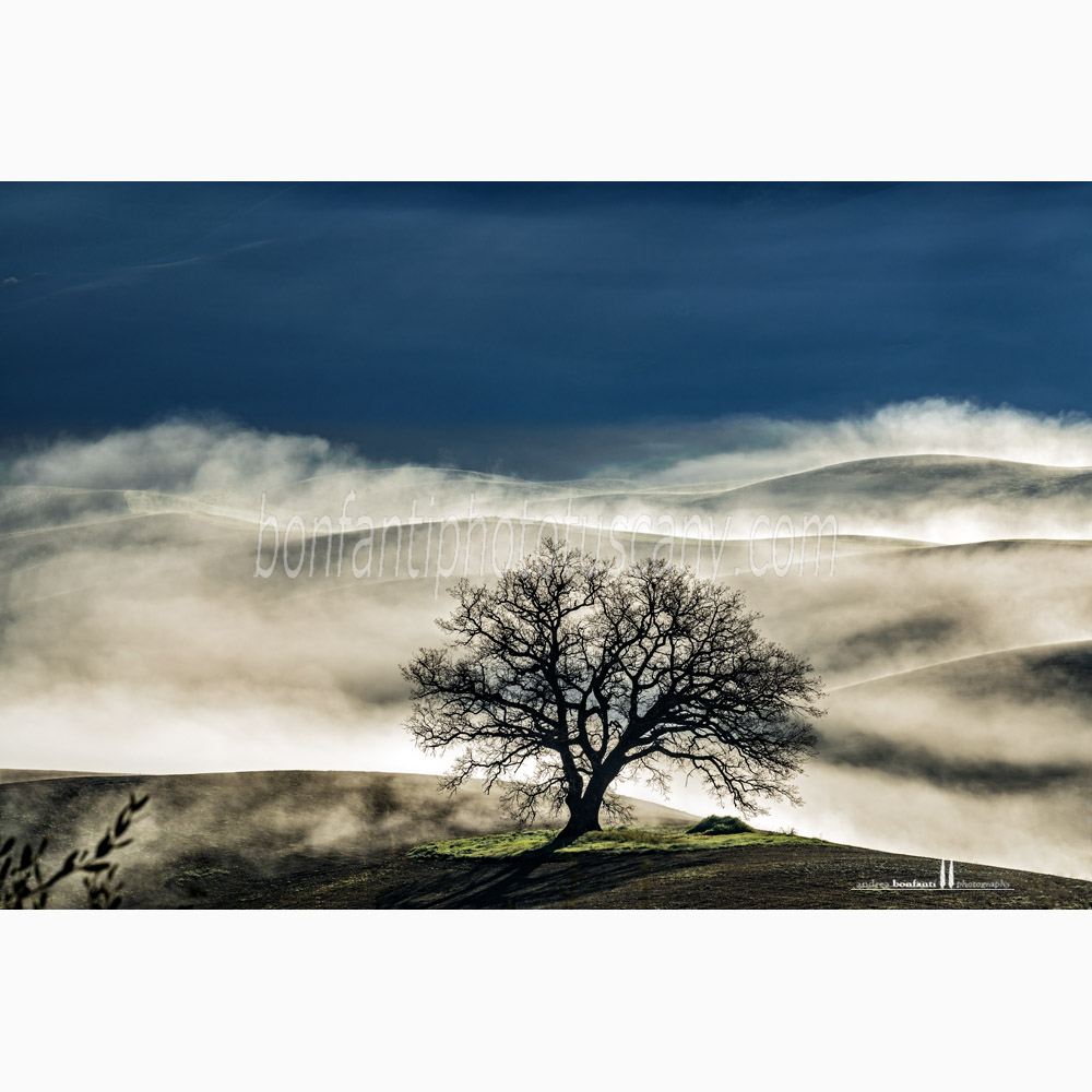 crete senesi landscape - vescona #1.jpg crete senesi landscape - vescona #1.jpg
