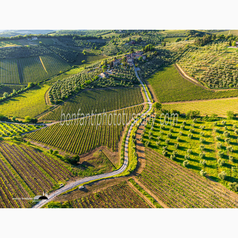 pattern dei vigneti attorno al borgo di Ama (Gaiole in Chianti