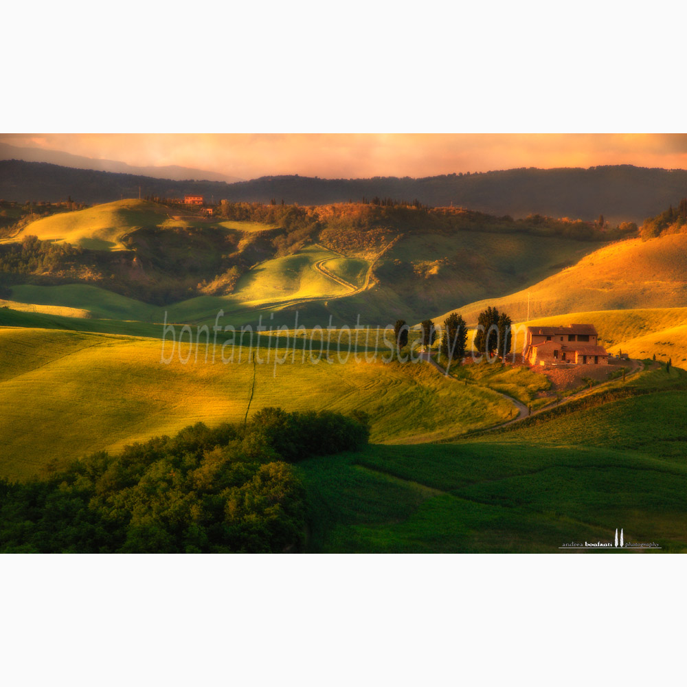 paesaggio delle crete senesi estate #8 asciano