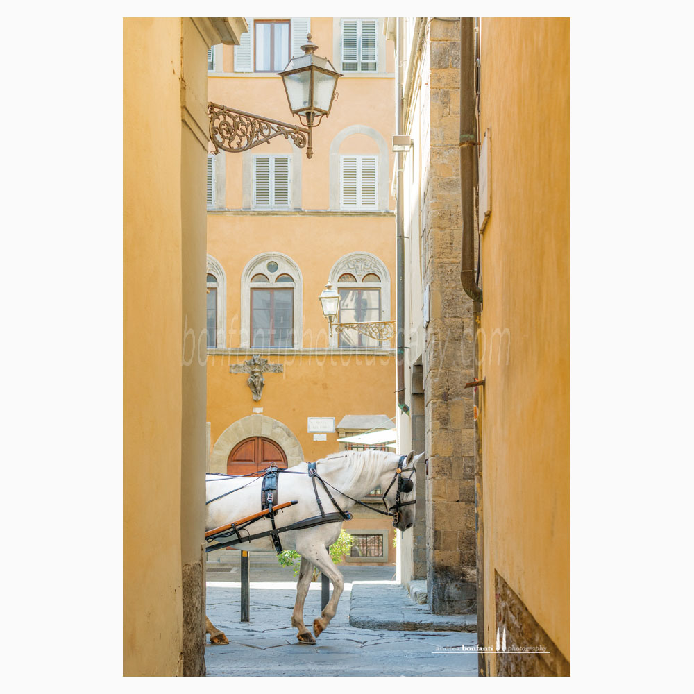 fiaccheraio in borgo Santi Apostoli - Firenze fiaccheraio in borgo Santi Apostoli - Firenze