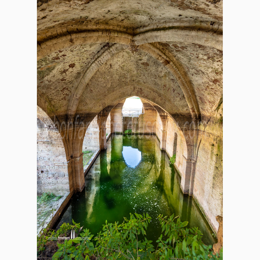 Siena - fonte di follonica #2