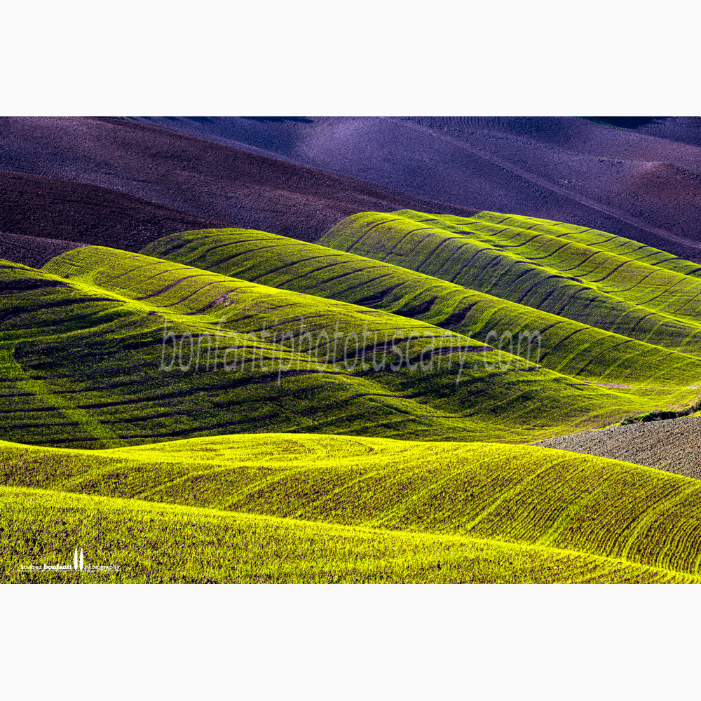 crete senesi landscape - torre a castello #3.jpg crete senesi landscape - torre a castello #3.jpg