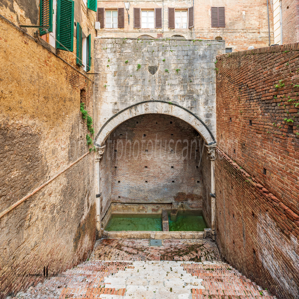 Siena - fonte del casato #4