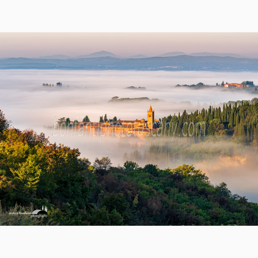 l'abbazia di Monte Oliveto Maggiore sospesa nella nebbia.jpg