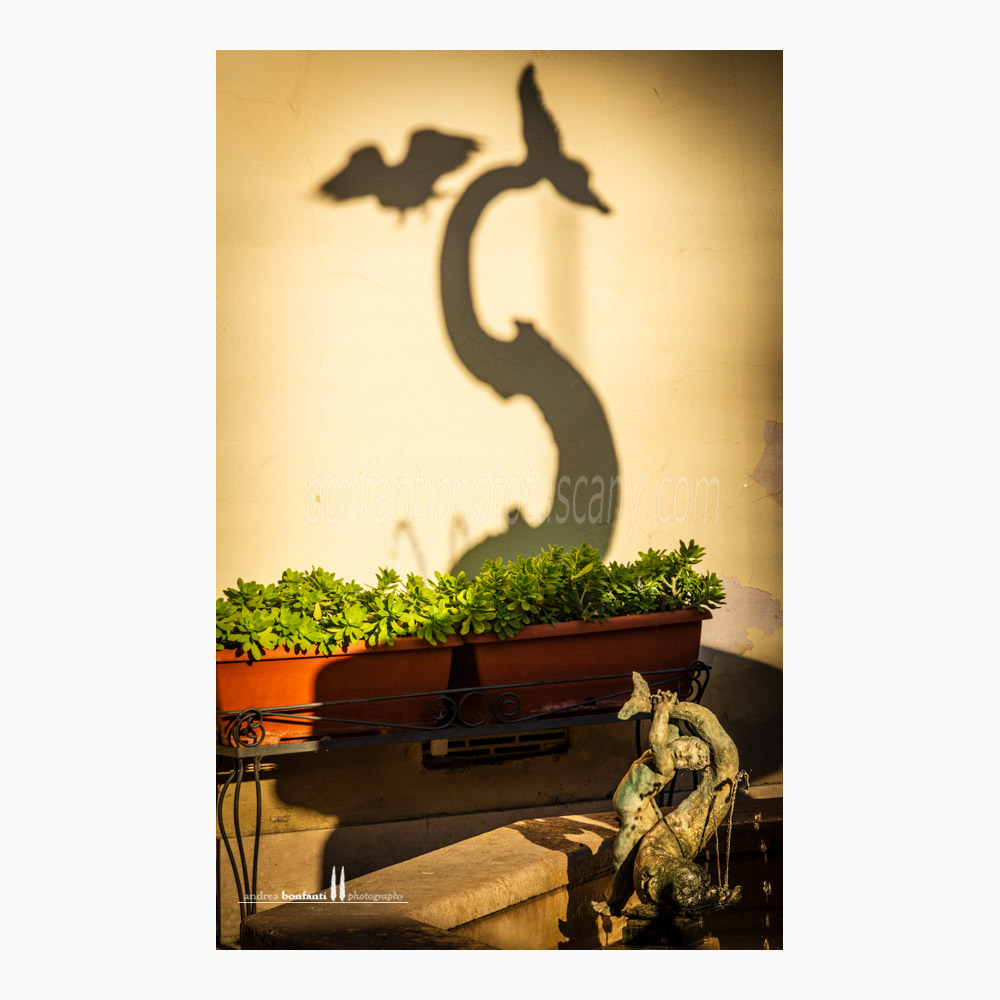 Siena - fontana contrada dell'onda