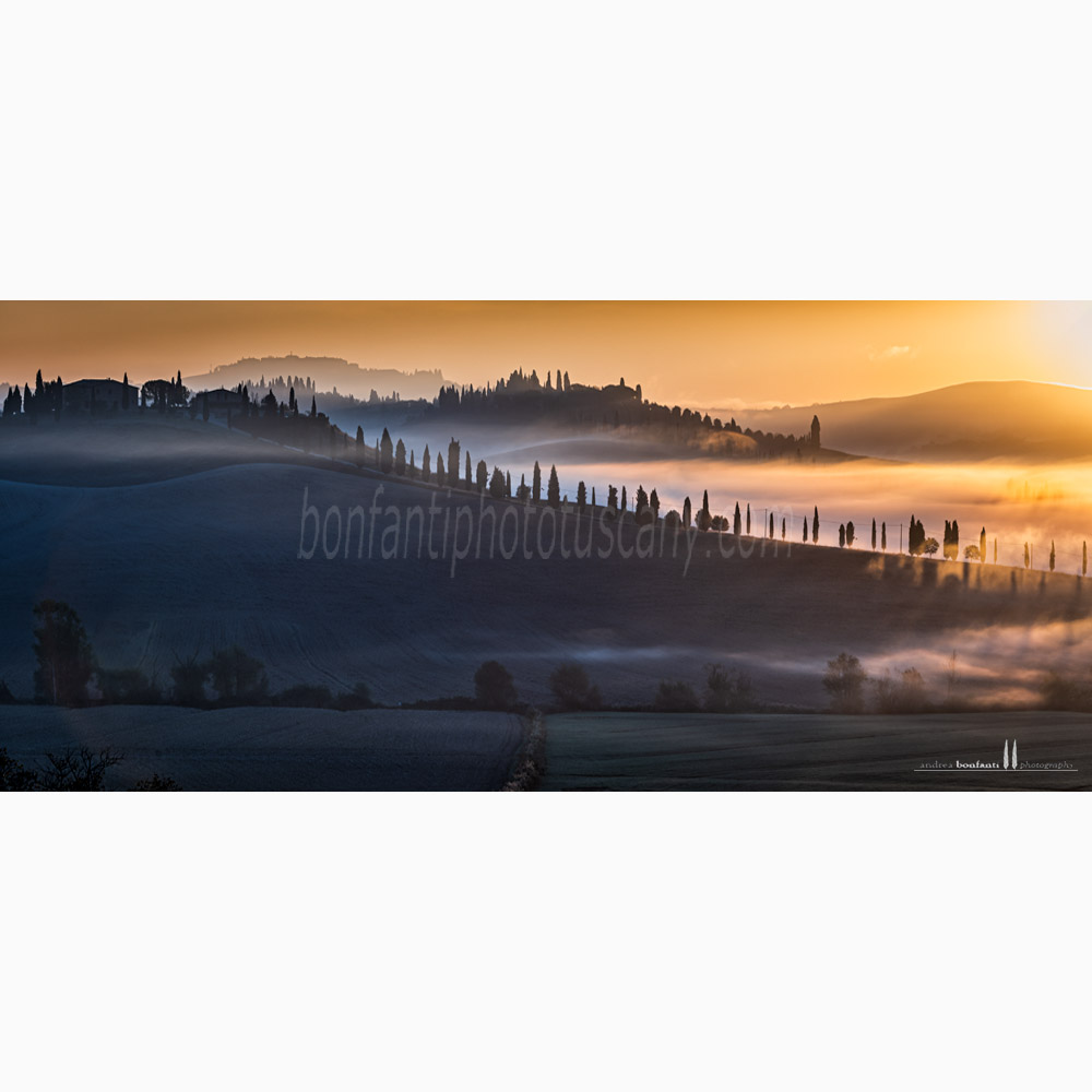 paesaggio delle crete senesi autunno #5 leonina