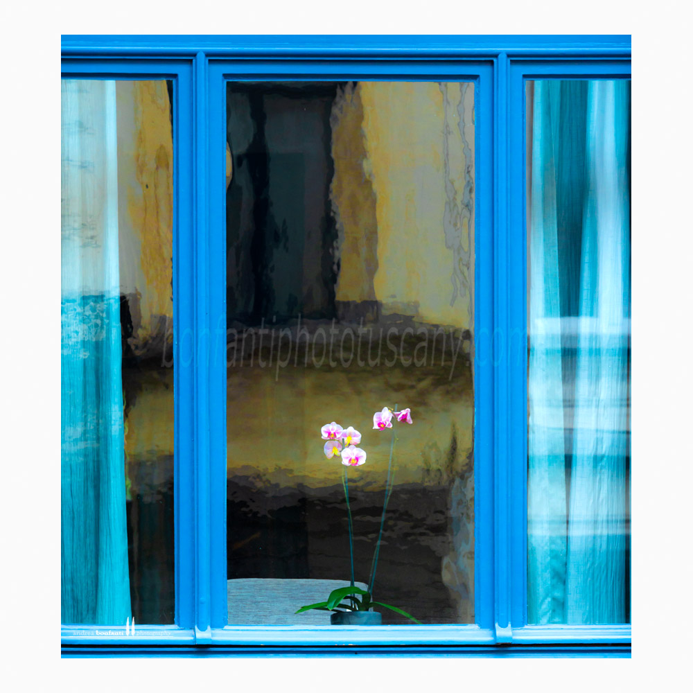 bruxelles #12 a blue window in square marie louise.jpg