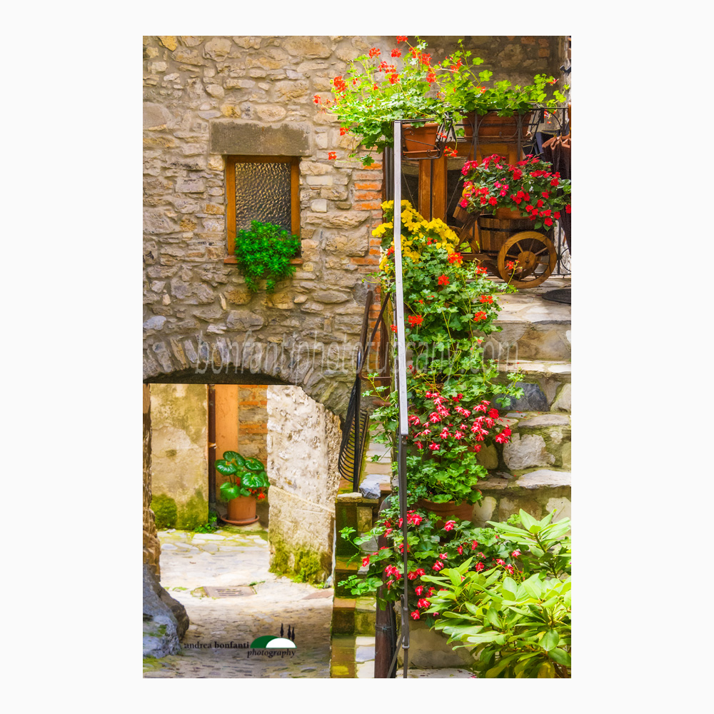 scorcio fiorito a vallico di sopra.jpg