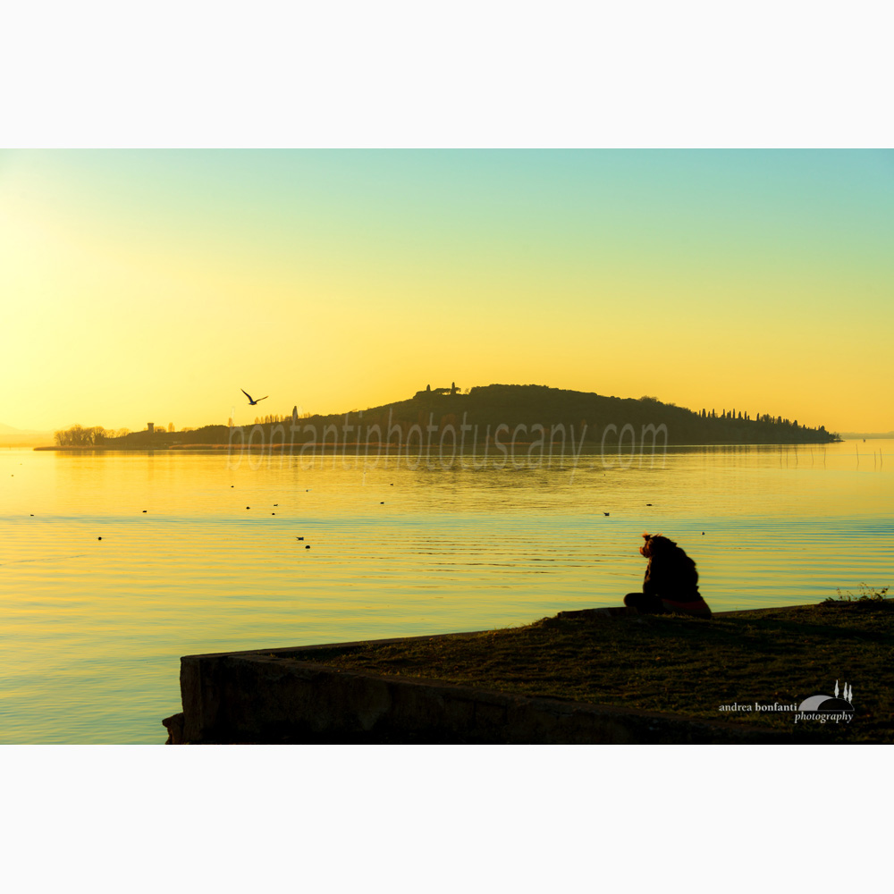 l'isola polvese da san feliciano sul trasimeno.jpg