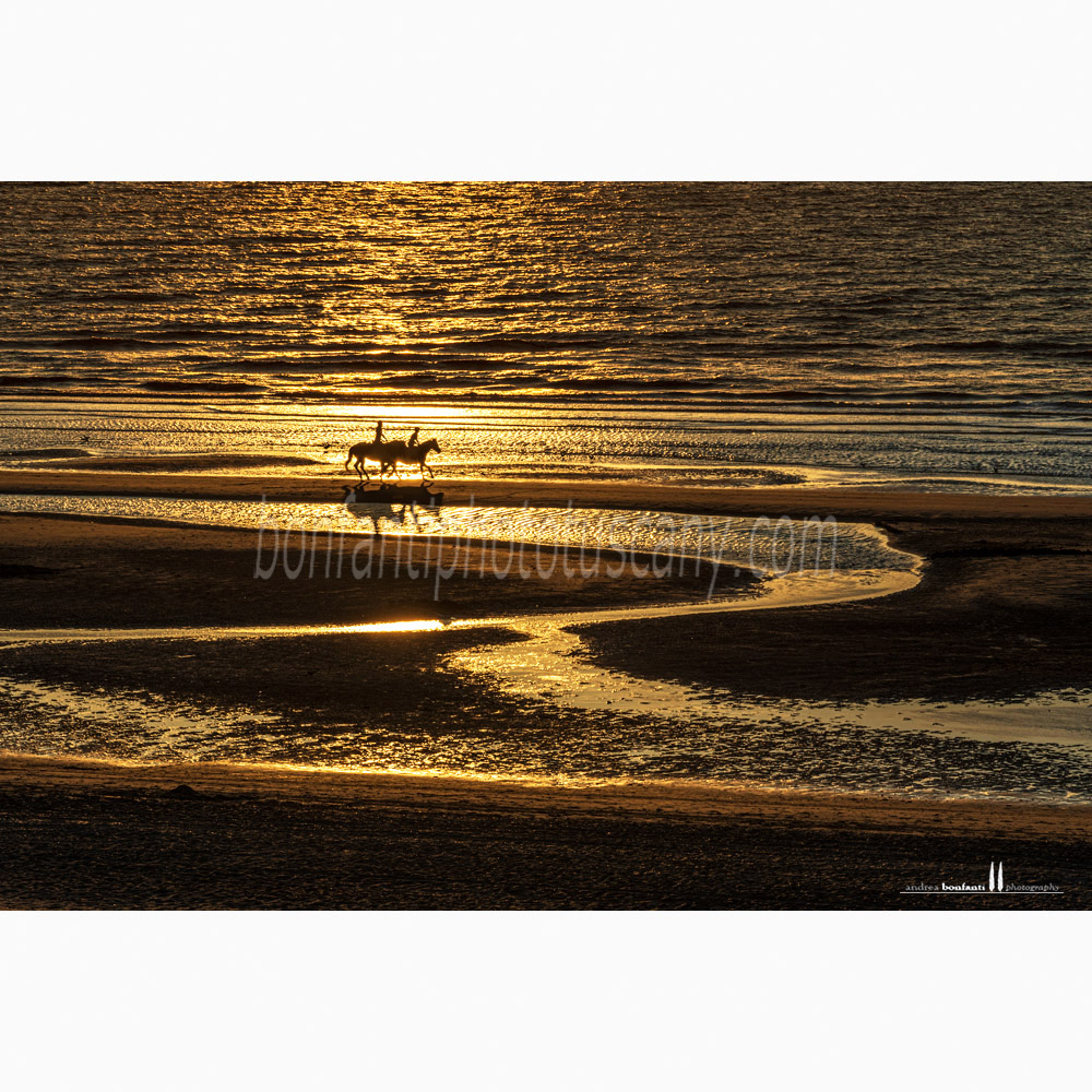 st.idesbald north sea - horse riding at sunset.jpg