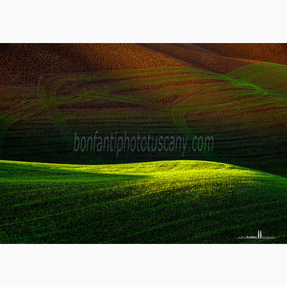 crete senesi landscape - torre a castello #4.jpg crete senesi landscape - torre a castello #4.jpg