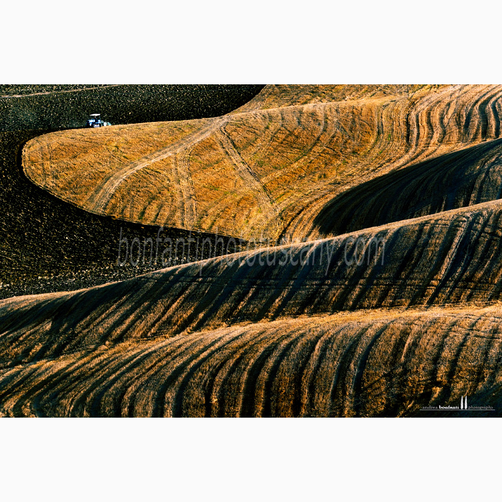 paesaggio delle crete senesi estate #6 grania