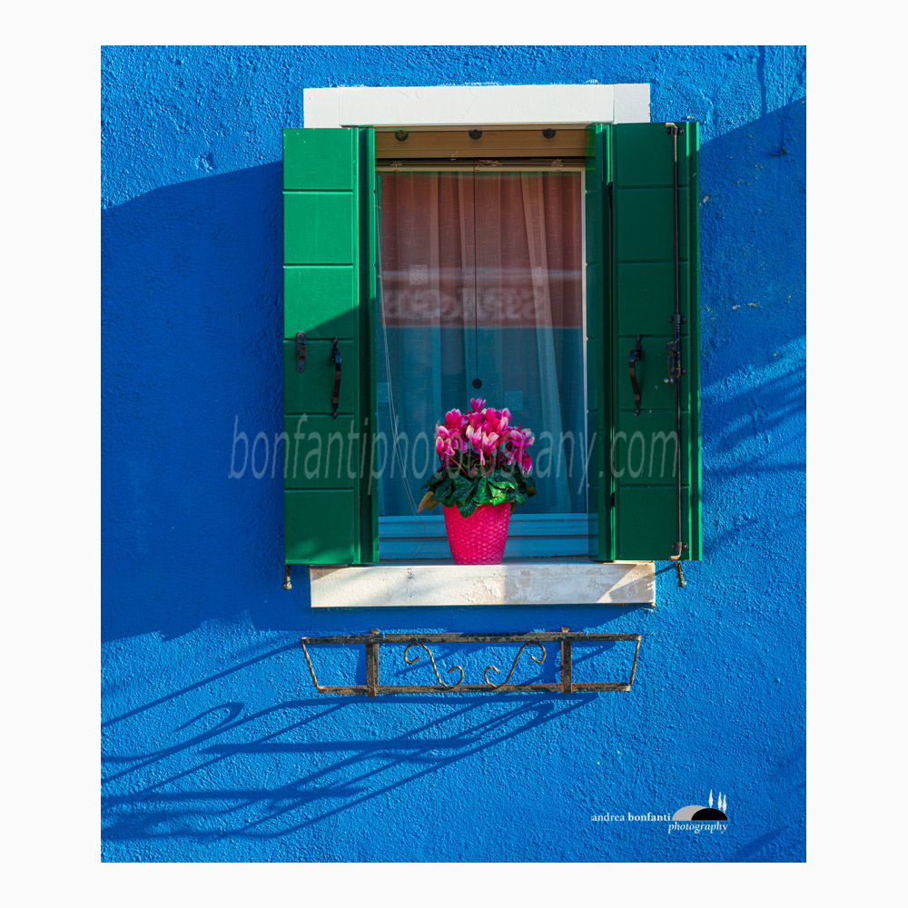 finestra con vaso di fiori su muro blu.jpg