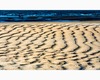 st.idesbald north sea - wind texture on the sand.jpg