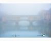 ponte vecchio in una mattina nebbiosa con un canottiere.jpg