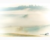 densa nebbia nella valle di leonina, crete senesi