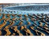 st.idesbald north sea - low tide texture on the shore.jpg