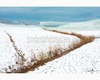 paesaggio delle crete senesi Inverno #4 leonina