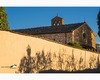 chiesa romanica di san leonardo in arcetri con ombre di ulivi proiettate sul muro di villa razzolini spelman.jpg