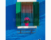 finestra con vaso di fiori su muro blu.jpg